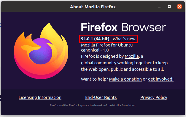 How To Update Firefox On Ubuntu 11 Graphical user interface description automatically generated