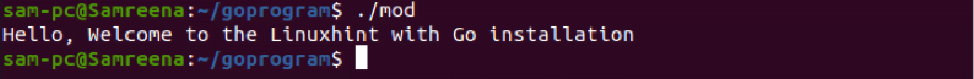 How to install Go on Ubuntu 17