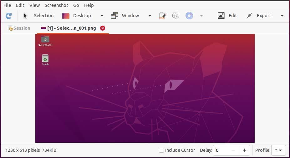 Screenshot Tools For Ubuntu – How To Install And Use? 2 Screenshot tools for ubuntu – how to install and use? 2