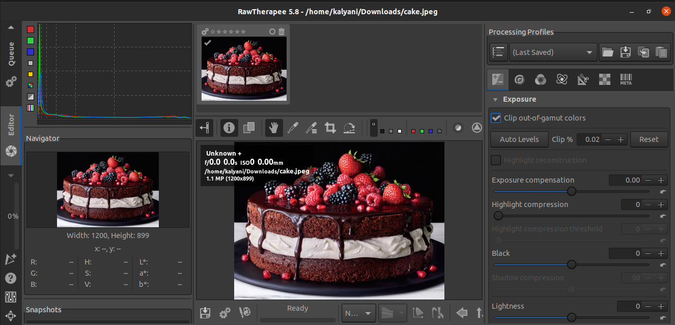 List Of Best Image Editors For Ubuntu 3 Rawtherapee