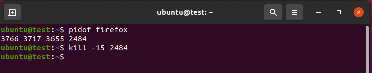 How Do You Kill A Process In Ubuntu Terminal? 4 Text description automatically generated