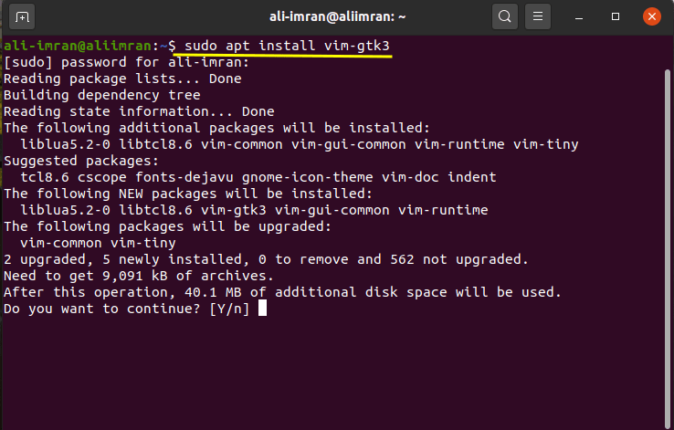 How to Install Gvim on Ubuntu 20.04 6