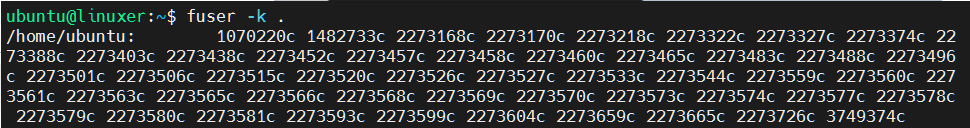 Fuser Command In Linux 4 Fuser command in linux 4
