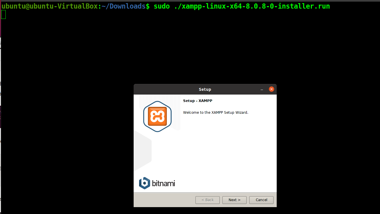 How To Install Xampp (Apache, Mariadb, Php, Perl And Phpmyadmin) On Ubuntu 20.04 4 Start xampp installation process