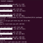 How to install snappass on ubuntu