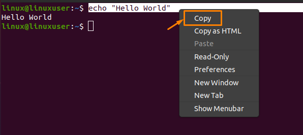 How To Copy And Paste In Ubuntu 4 Graphical user interface, text, application description automatically generated