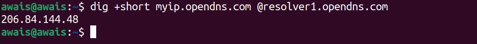 How to Get Public IP from Terminal on Ubuntu 22.04 24