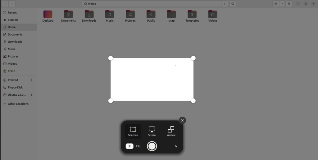 The Best Methods to Take Screenshots in Ubuntu 22.04 29