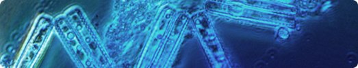Elektrobit partners with canonical to pave the way to a new era of software-defined vehicles