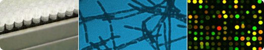 Learn about mlops: kubeflow at osxp 2022
