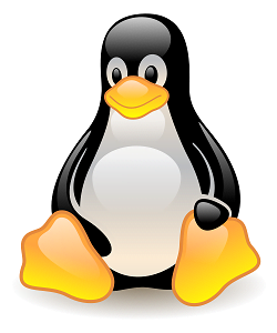 Get the active dns servers on linux
