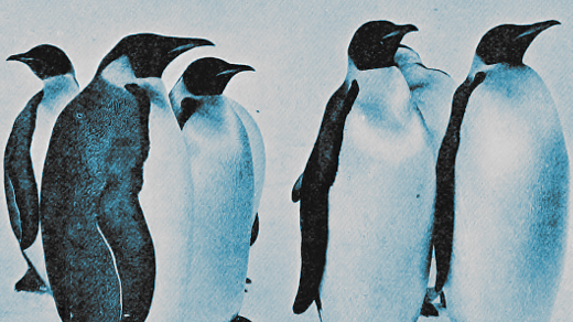 How to check ubuntu version with command or script