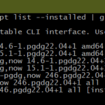 Uninstall the postgresql on ubuntu 22. 04