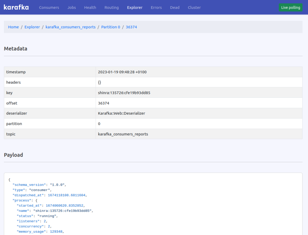 Karafka web ui –  your ruby and rails out-of-the-box kafka ui