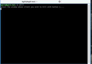 Killing frozen applications in ubuntu