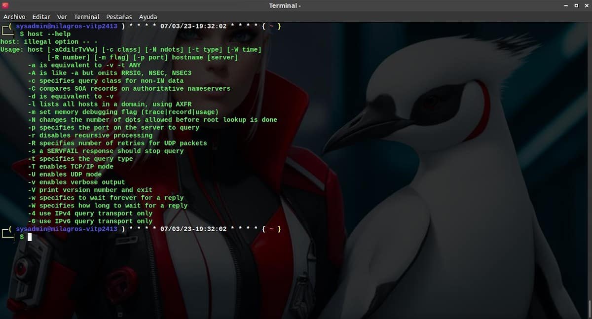 Comandos De Linux: Su Utilización En La Terminal – Quinta Parte 5 Host