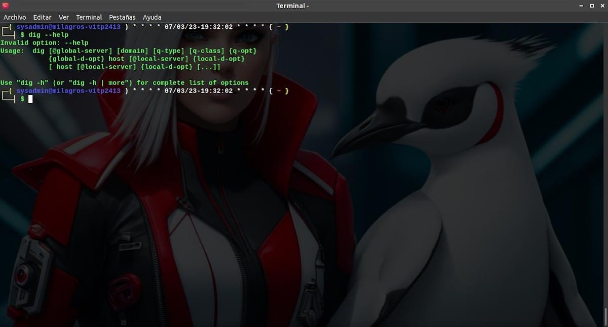 Comandos De Linux: Su Utilización En La Terminal – Quinta Parte 6 Dig