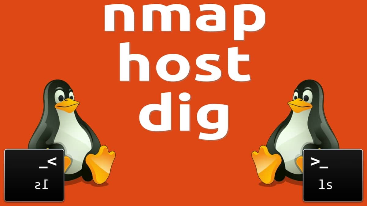 Comandos De Linux: Su Utilización En La Terminal – Quinta Parte 3 Comandos de linux - cuarta parte: nmap, host y dig