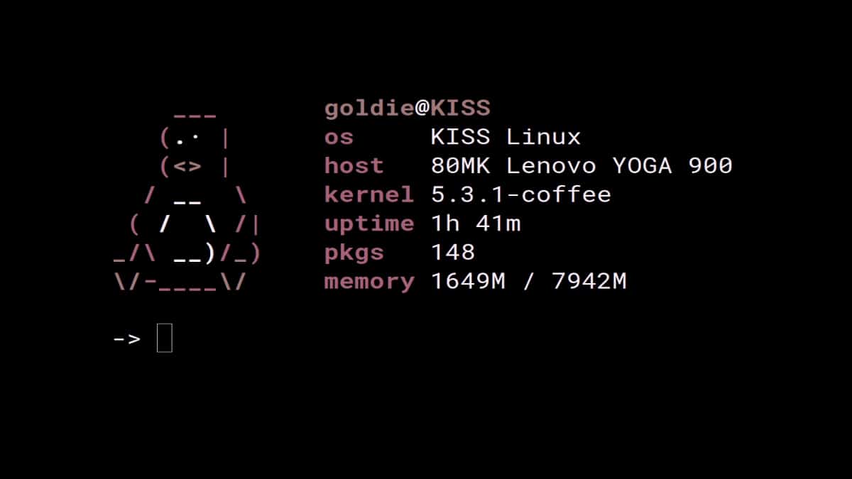 Pfetch, Screenfetch, Neofetch Y Fastfetch: Útiles Herramientas Cli 4 Pfetch