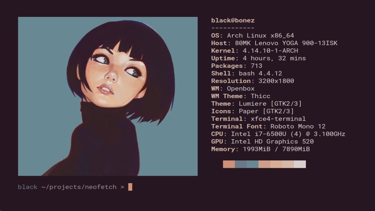 Pfetch, Screenfetch, Neofetch Y Fastfetch: Útiles Herramientas Cli 6 Pfetch, screenfetch, neofetch y fastfetch: útiles herramientas cli 1