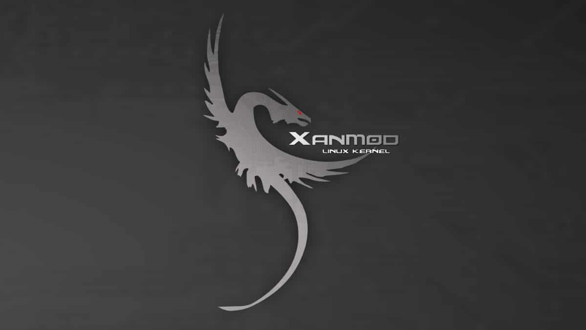 Xanmod: Un Kernel Linux Alternativo Y Mejorado Para Usos Varios 3 Kernel linux xanmod: una experiencia estable, fluida y sólida
