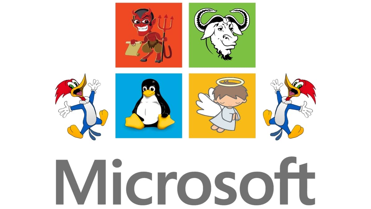 Microsoft Enseña A Sus Usuarios A Instalar Linux: Mi Análisis 3 Análisis del tutorial de microsoft sobre descargar e instalar linux