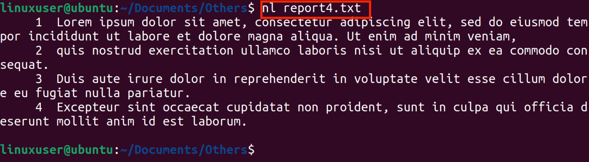 How To Open A Text File From A Terminal In Ubuntu 22.04? 5 How to open a text file from a terminal in ubuntu 22. 04? 5