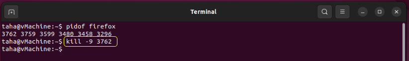 How To Kill Processes In Ubuntu 22.04? 17 How to kill processes in ubuntu 22. 04? 17