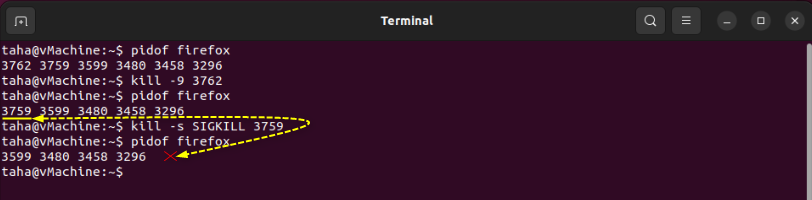 How To Kill Processes In Ubuntu 22.04? 20 How to kill processes in ubuntu 22. 04? 20