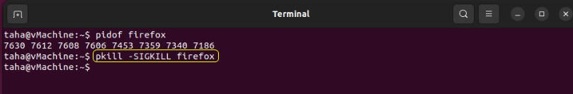 How To Kill Processes In Ubuntu 22.04? 29 How to kill processes in ubuntu 22. 04? 29
