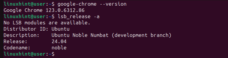 How To Install Google Chrome On Ubuntu 24.04 5 Check-google-chrome-version