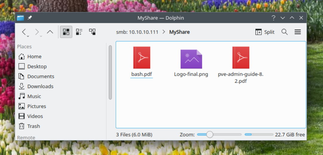 How To Enable And Use Nautilus Samba/Cifs/Windows File Sharing Feature On Ubuntu 24.04 Lts 15 How to enable and use nautilus samba/cifs/windows file sharing feature on ubuntu 24. 04 lts 15
