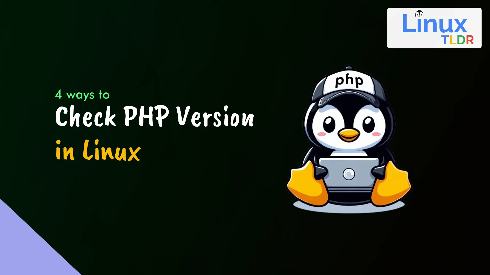 How To Check Php Version In Linux (Via 4 Methods) 1 Check php version in linux