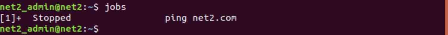 Linux Processes: A Beginner’s Guide To Understanding &Amp; Management 6 Jobs command output - background process list