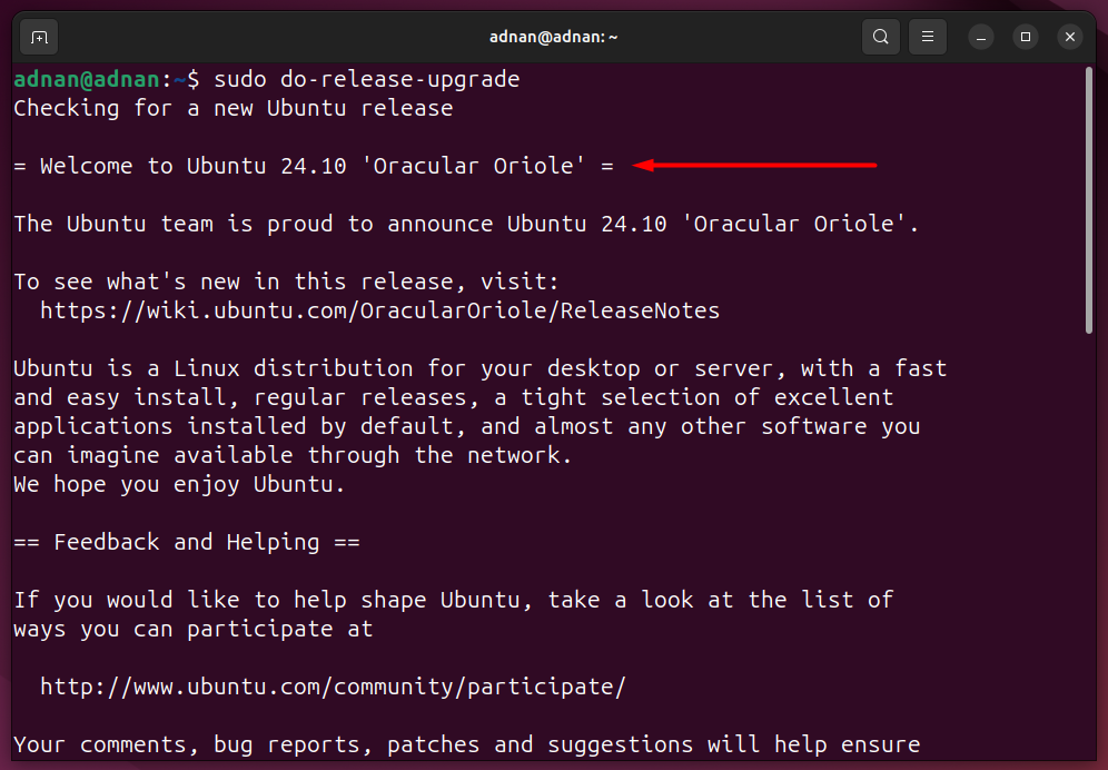 Ubuntu 25.04 Plucky Puffin – A Brief Walkthrough 13 Ubuntu 25. 04 plucky puffin – a brief walkthrough 13