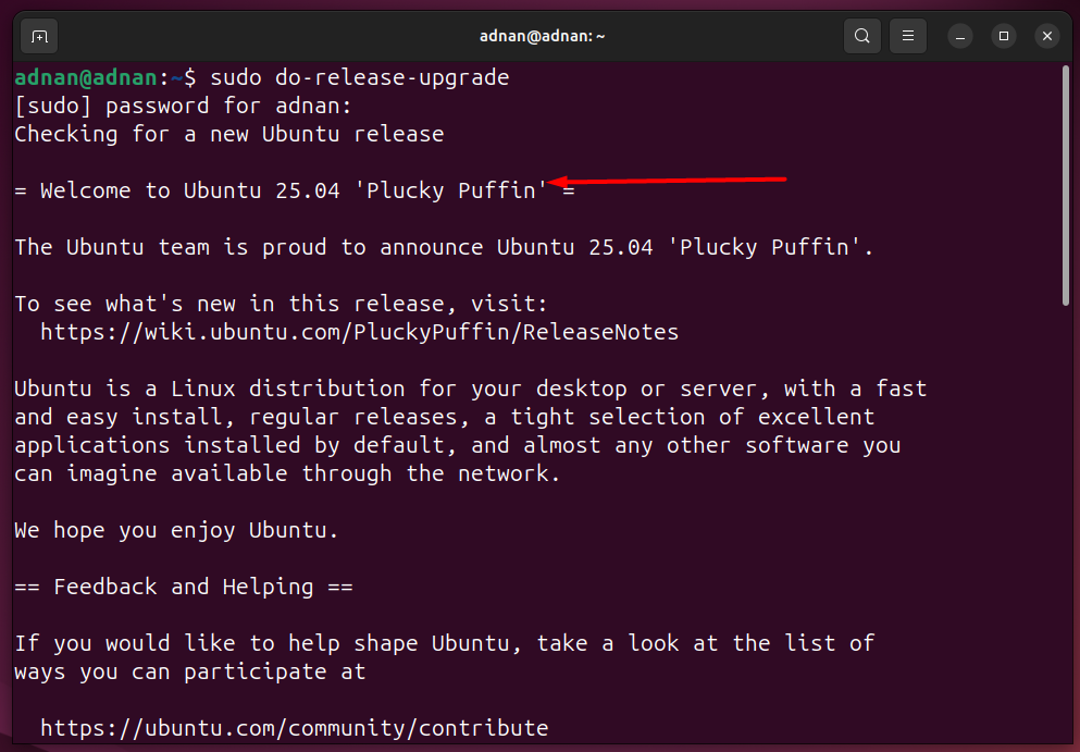 Ubuntu 25.04 Plucky Puffin – A Brief Walkthrough 16 Ubuntu 25. 04 plucky puffin – a brief walkthrough 16